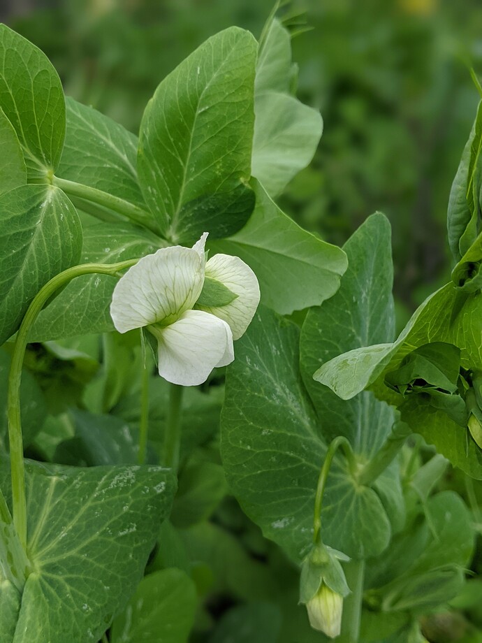 PXL_20220606_194713502.PORTRAIT