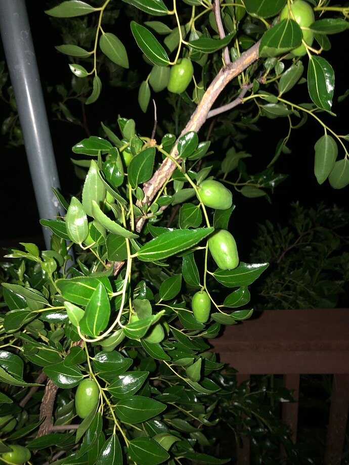 Alcalde_1_08-10-2022