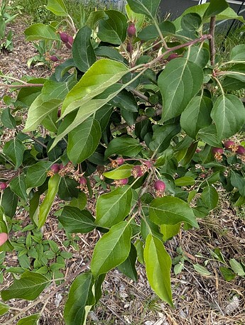 PXL_20250515_204846159