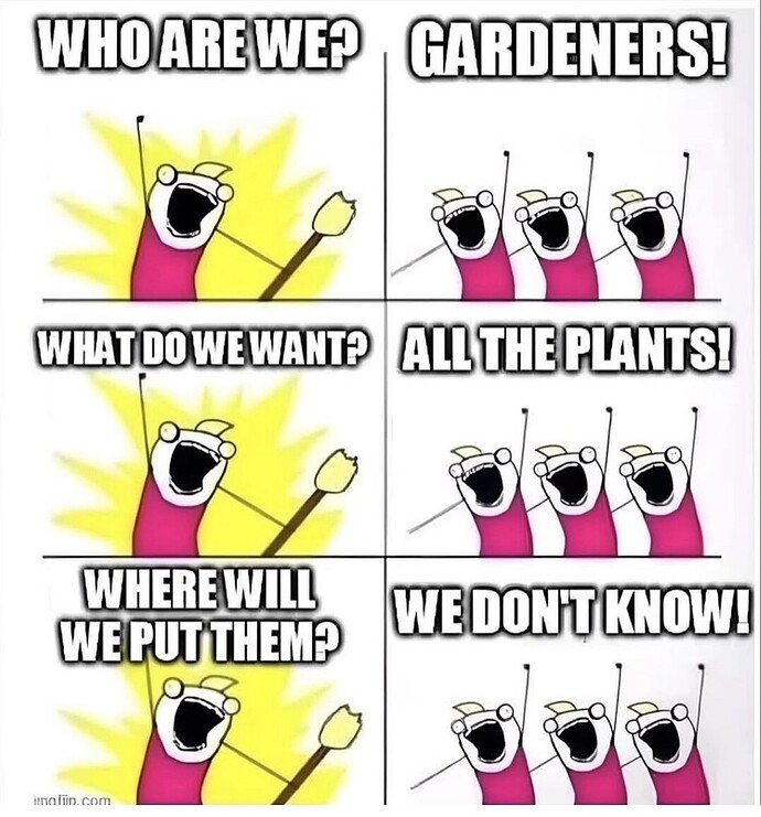 Screenshot_20250603_220951_Instagram