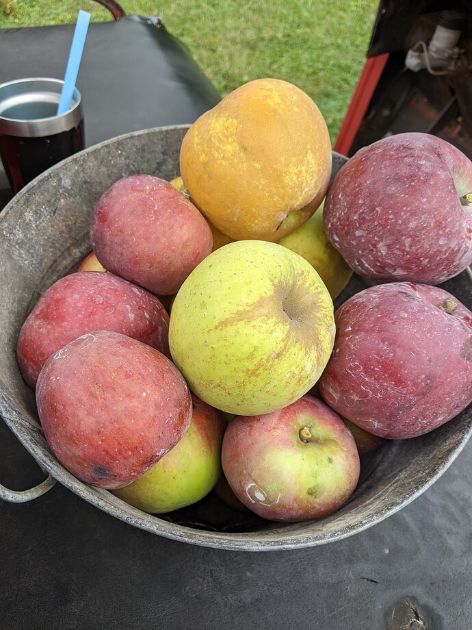 PXL_20230925_161542939