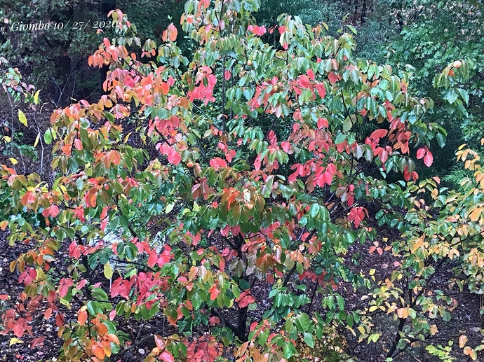 F2F974CD-3E4B-4380-B46D-A5621D3AF613