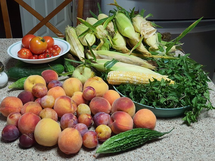 Harvest 08-16-21