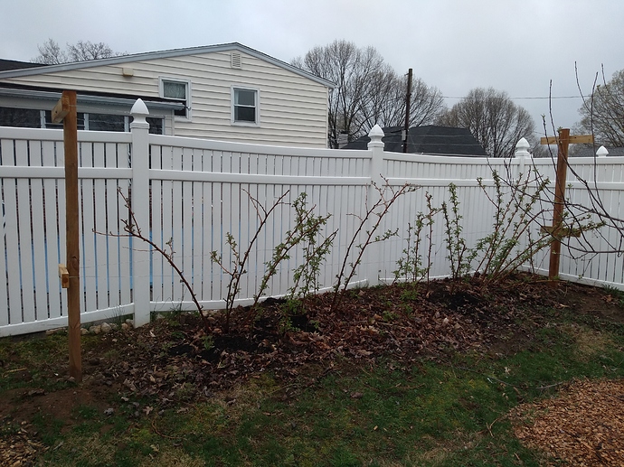 IMG_20190413_100528480