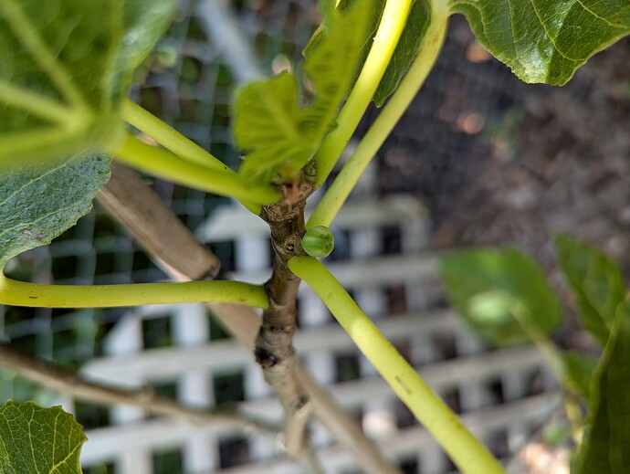 PXL_20250501_185917175