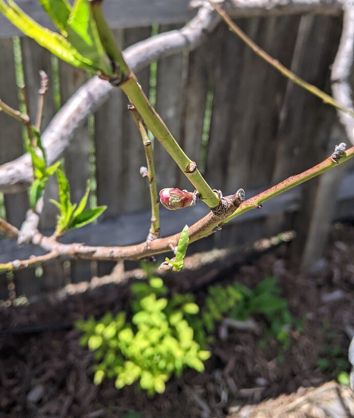 PXL_20230527_185622174