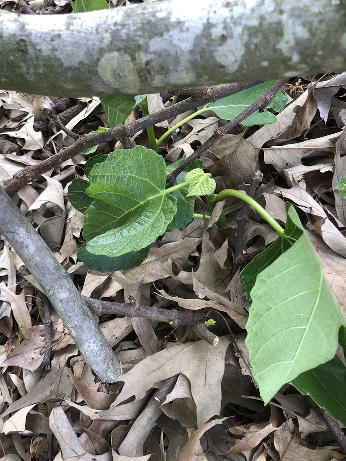 9790F6B8-5520-4415-ADE8-F6918A003220