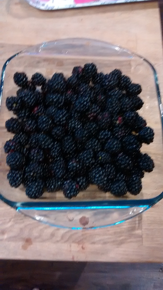 IMG_20180729_175602249