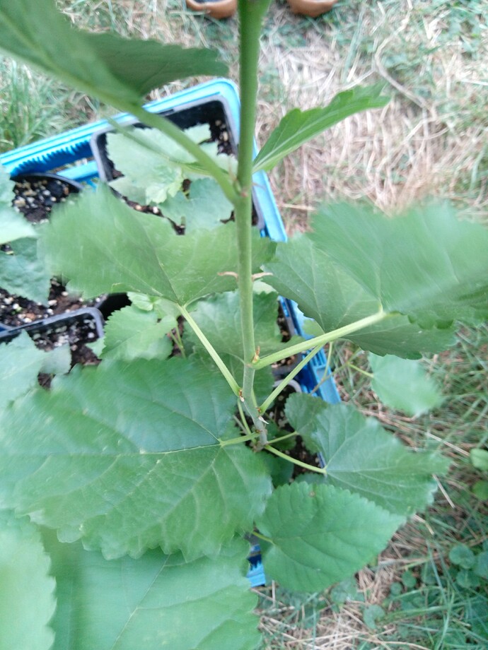 IMG_20240907_182848_905~2