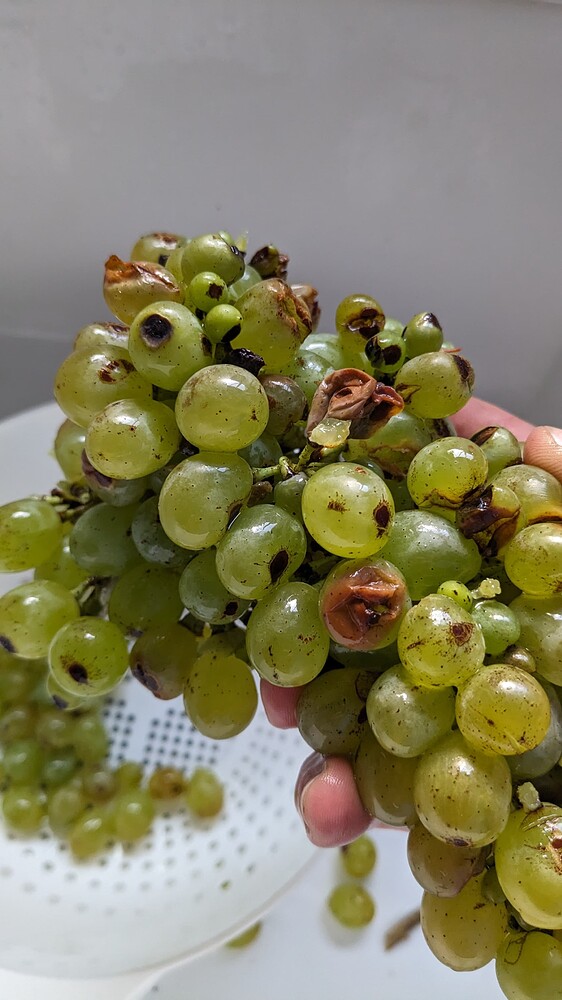 PXL_20230910_211812520