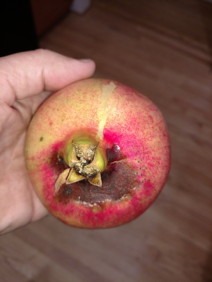 IMG_20170918_195615967