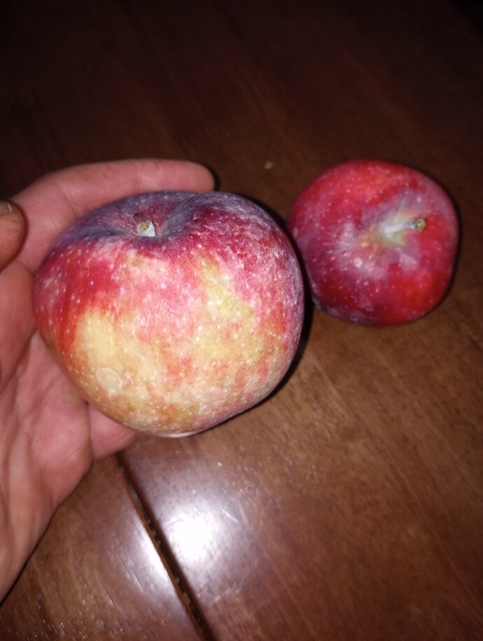 IMG_20220722_145955821