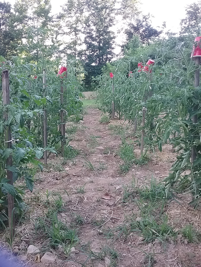 20180708_183801