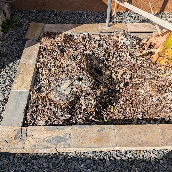 PXL_20250226_221921815