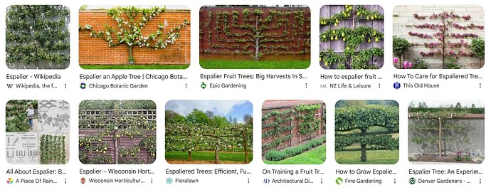 Screenshot 05-23-2025 08.44.47 espalier