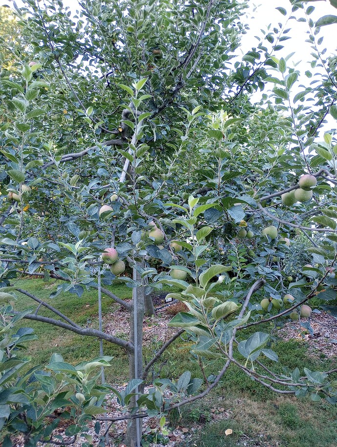 IMG_20220825_075529841