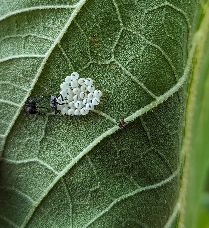 PXL_20230821_195156799