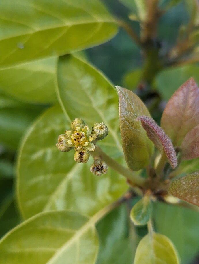 PXL_20240529_020906307