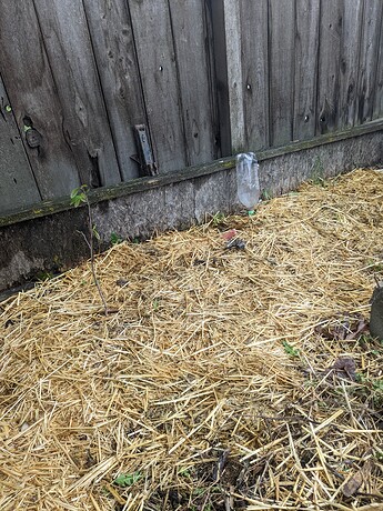 PXL_20230506_164251525