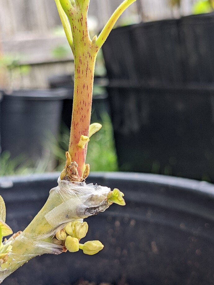 PXL_20220706_203706883