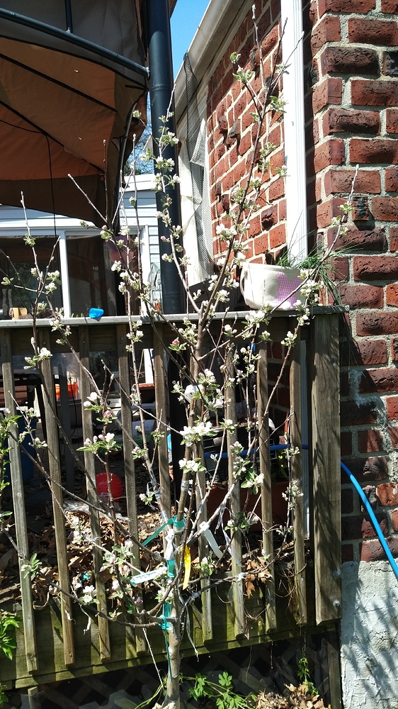 WP_20180502_11_33_10_Pro