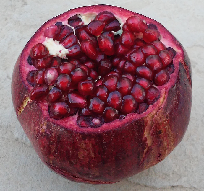 Wonderful_2017-10-31_photo-3