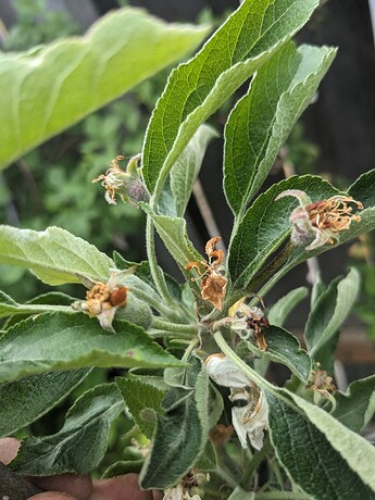 PXL_20240516_205117102