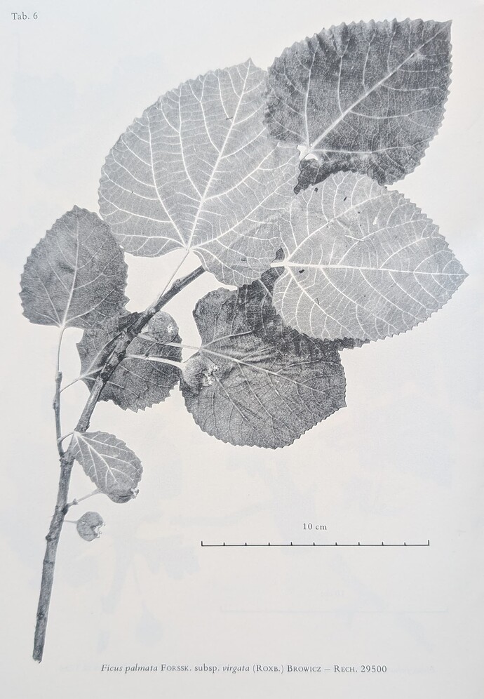 PXL_20250602_235218610