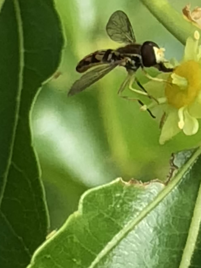 DB8D91BE-9371-4AA3-BBFC-7A009FD77BD0