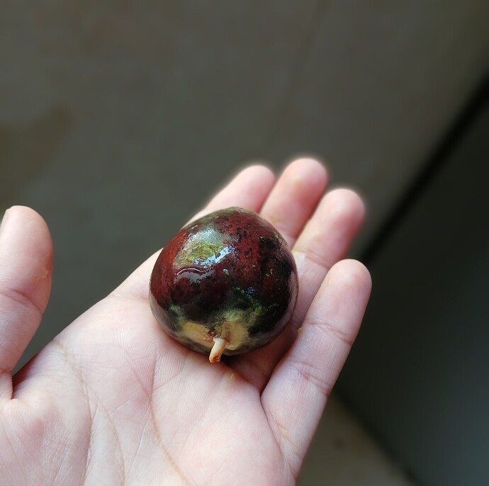 SmartSelect_٢٠٢٥٠٦٠٢_١٤١٠٣٥_Gallery