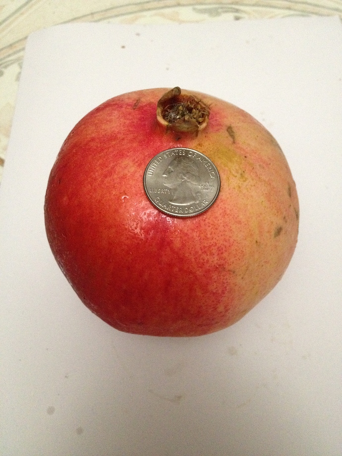 pomegranate%20%20