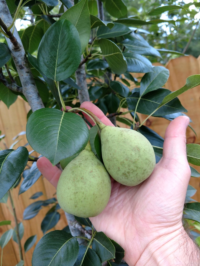 IMG_20180606_181048553