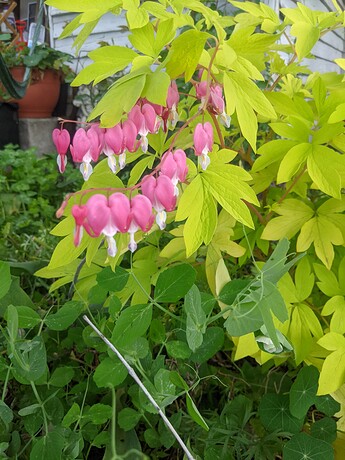 PXL_20220618_231246252