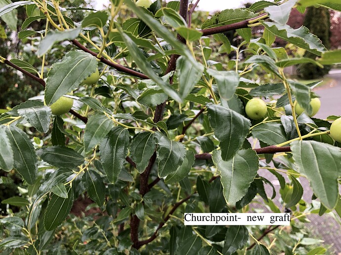 Churchpoint_10-25-2021