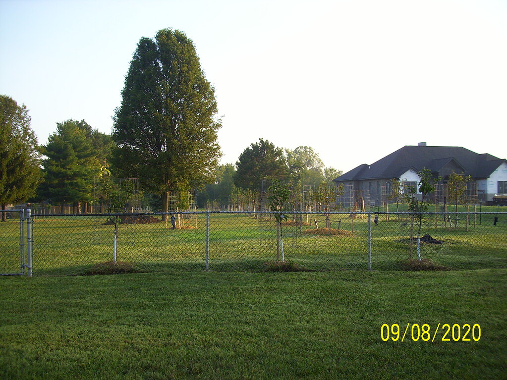 "Spray Schedule" General Fruit Growing Growing Fruit