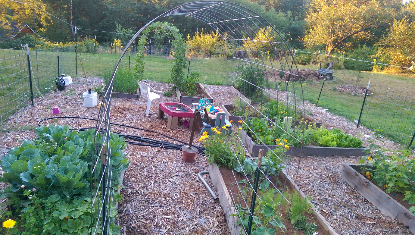Let's see your raised beds. I need ideas General Gardening Growing