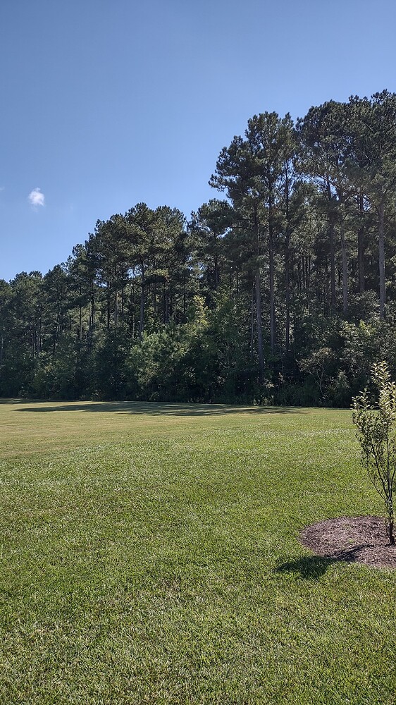 IMG_20240929_130516499_HDR