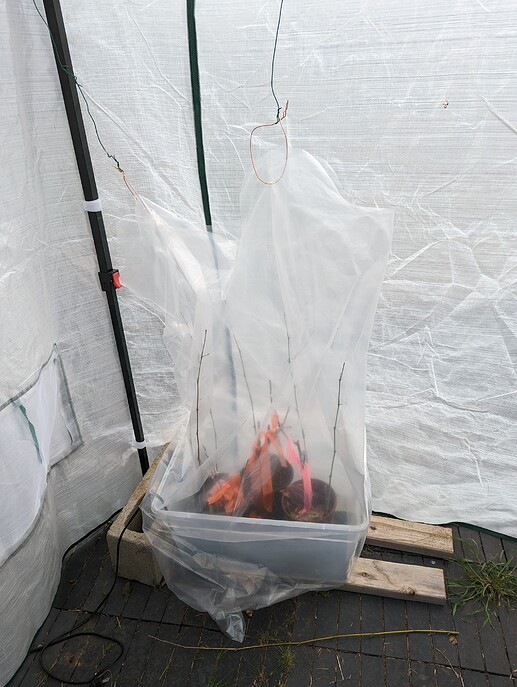 PXL_20230422_212315648