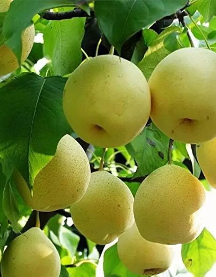 Screenshot_20240728_044910_eBay