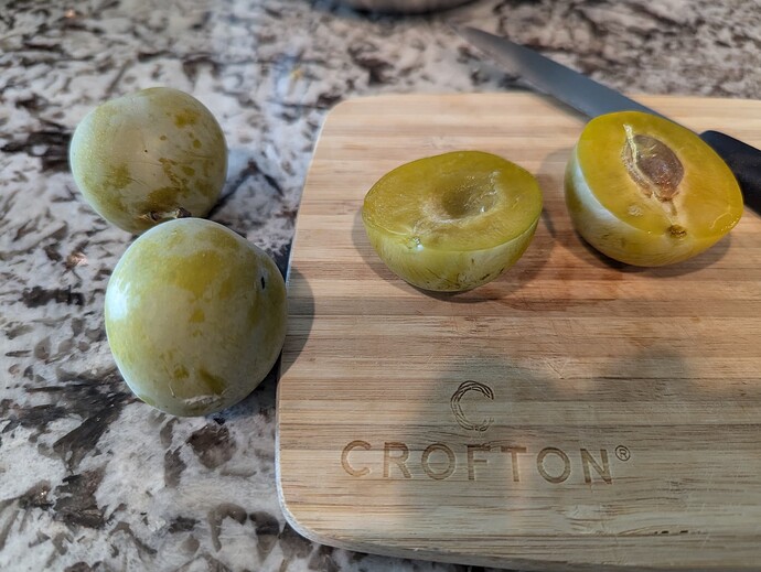 PXL_20240817_172641130