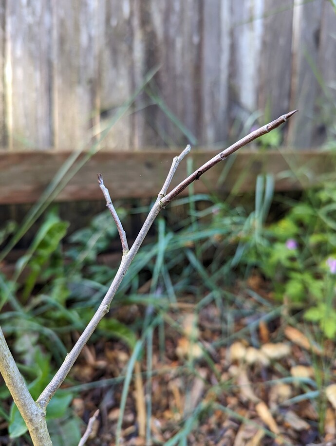 PXL_20240603_155252444