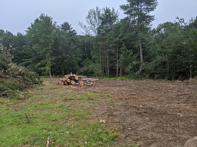 PXL_20210714_221542630