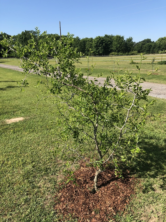 8B1739F3-6C0F-434D-9B22-B7E5D08E0653