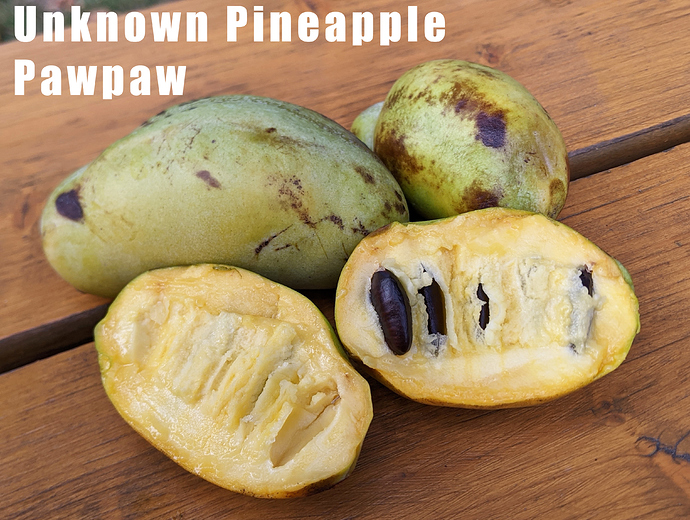 Pineapple%20Pawpaw