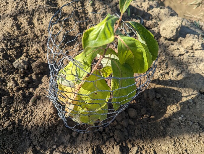 PXL_20231008_151001101