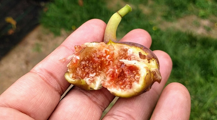 Easton%20Find%2009-09-19%20B