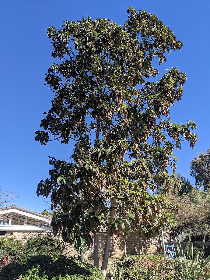 PXL_20220217_213457287