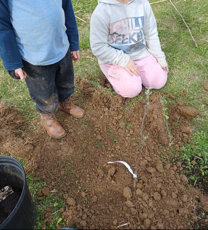 Screenshot_20240329_194659_Gallery