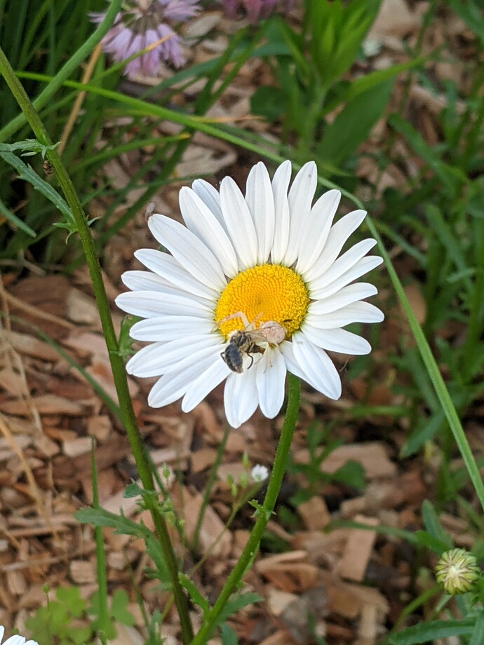 PXL_20210606_235955529