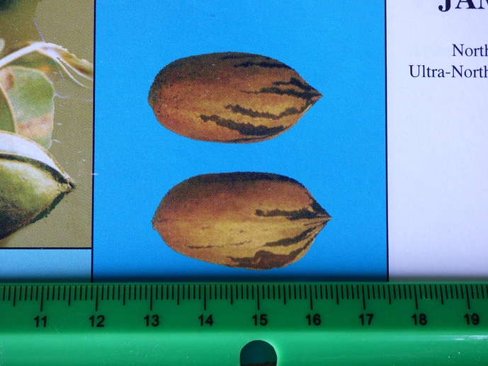 P1190315